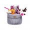 BBR-BFDT-COTTON-GREY